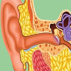 what causes tinnitus?