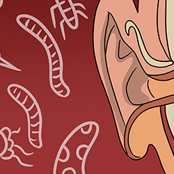 tinnitus treatments